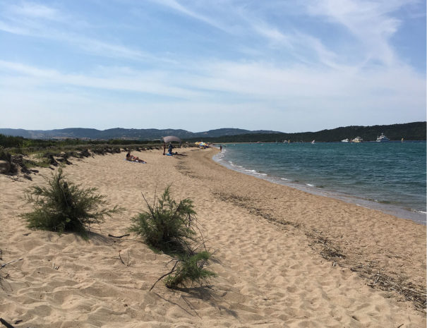 sardegna_isola_dei_gabbiani